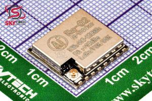RA02 RA-02 MODULE