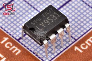 LY9531