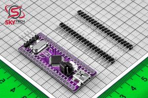  STM32F DEVELOPMENT BOARD Purple Pill