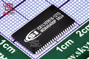 IC61LV25616-12T