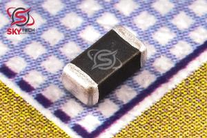 RL1206A560K