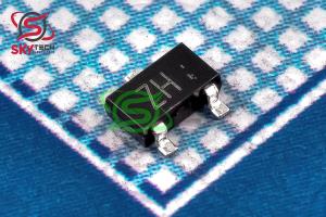 RSR020P05 (ZH)