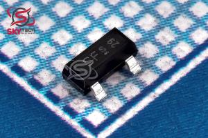BSS169 (SF)