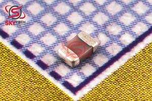 10PF CAPACITOR