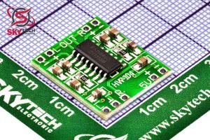 PAM8403 ماژول با خازن بزرگ