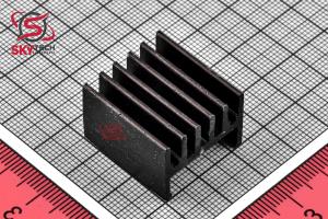 HEATSINK (25*22*16)