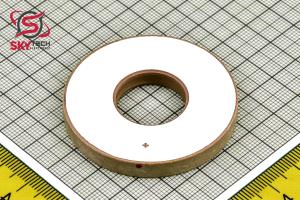 PIEZO PZT8 50*20*6 MM