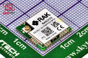 RAK3172-T-8-SM-I