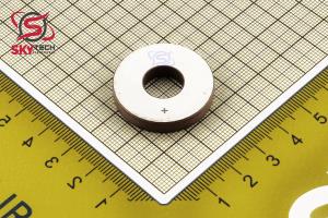 PIEZO PZT8 30*12*5 MM 