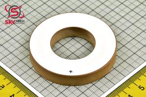 PIEZO PZT8 60*30*10 MM