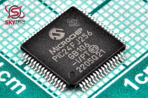 PIC24FJ256GB106-I PT