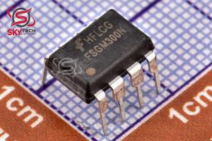 FSGM300N