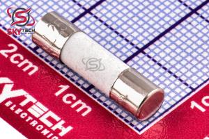 CERAMIC FUSE 250V/10A